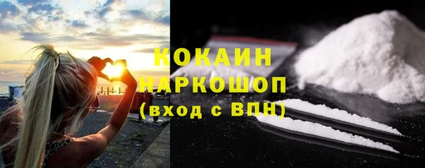индика Абаза