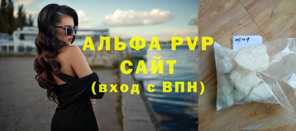 индика Абаза
