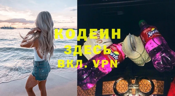 индика Абаза