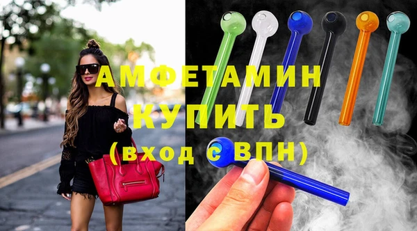 индика Абаза