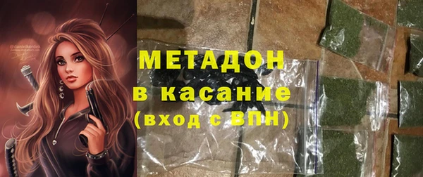 индика Абаза