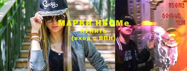 индика Абаза