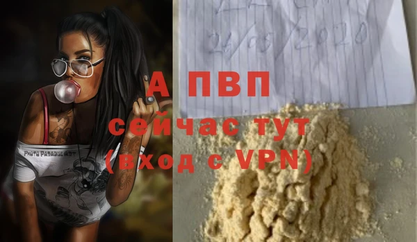 индика Абаза