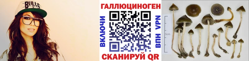 Псилоцибиновые грибы мицелий  Карасук 