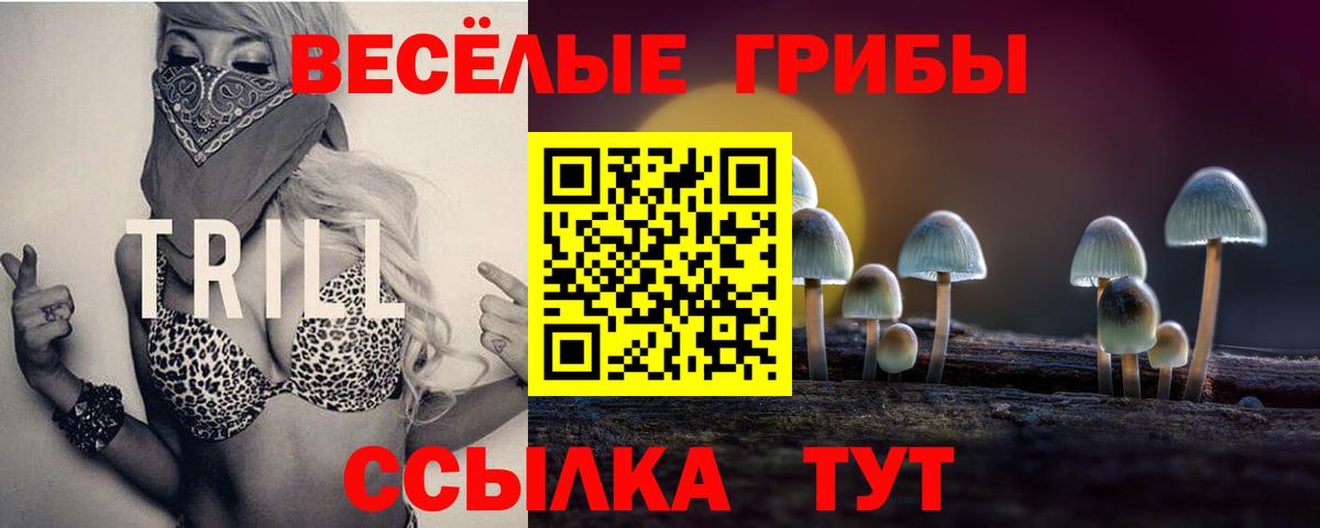 Псилоцибиновые грибы Cubensis  Вход с VPN  Карасук 